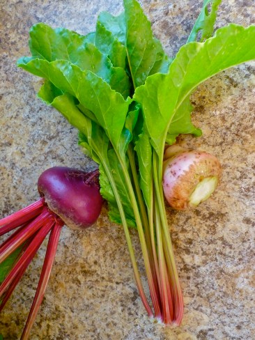 Don't throw away the tops of beets. I use been greens from my garden to add flavor to soups. Photo by Christine Willmsen