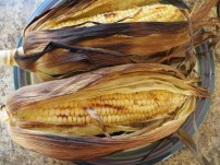 Grill corn for 8-10 minutes in the husks to keep them moist. Photo by Christine Willmsen